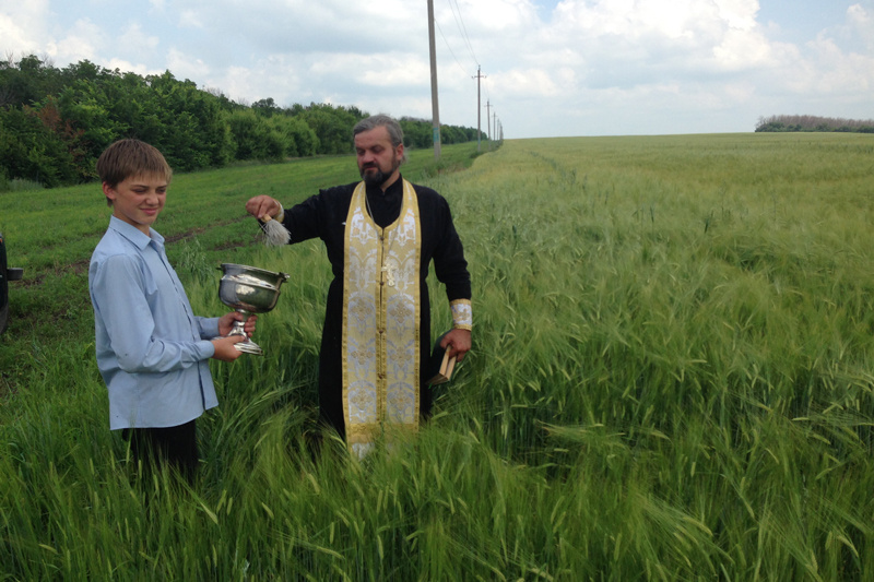 Фото: Яндекс Картинки