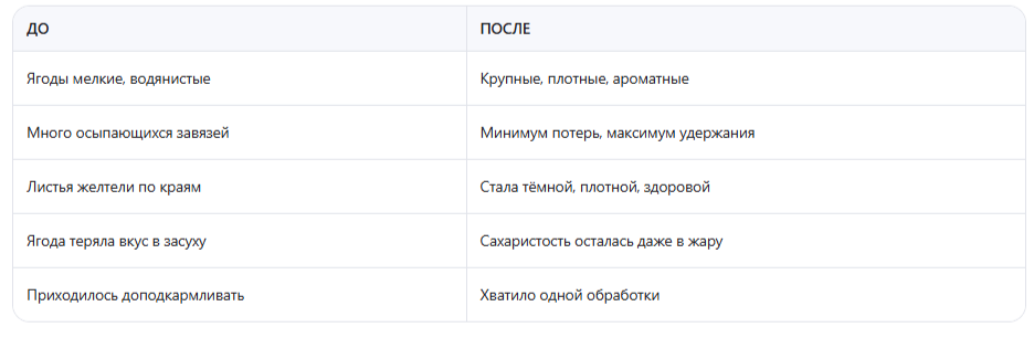 как изменилась моя клубника после этой подкормки