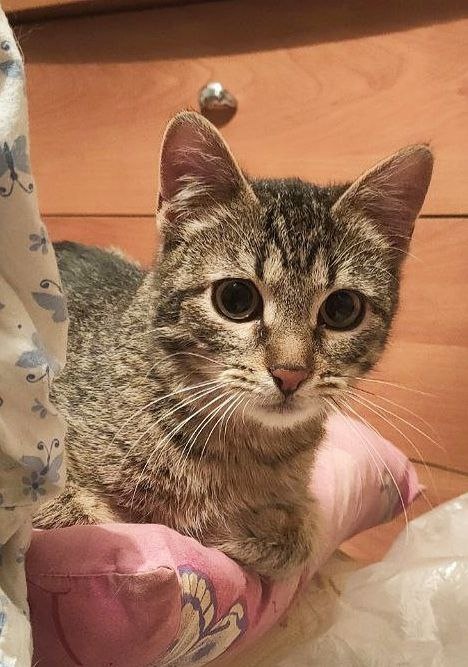 Я в квартире, да? В безопасности?