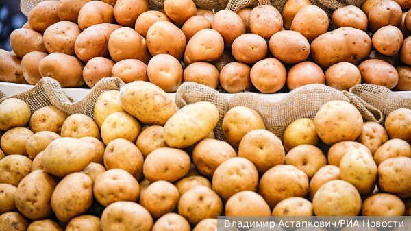     Фото: Владимир Астапкович/РИА Новости   
 Текст: Татьяна Косолапова