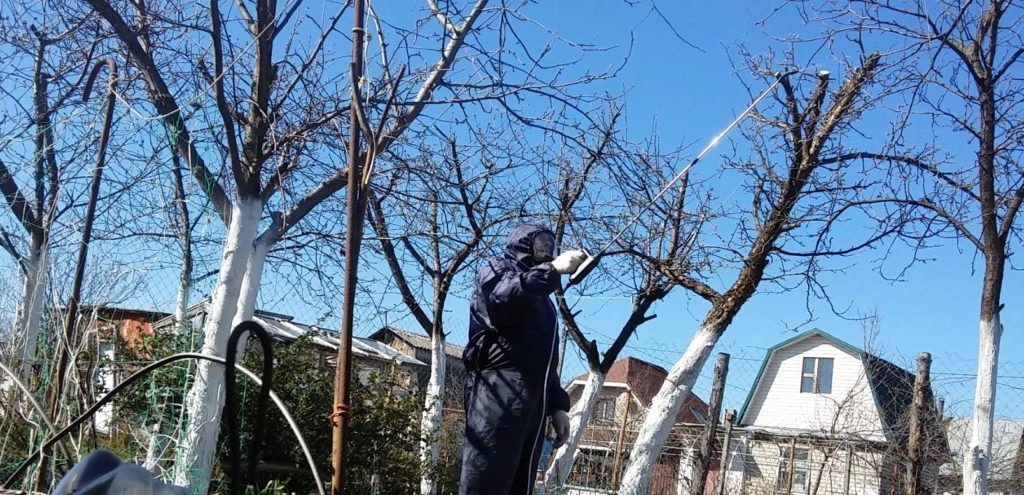 Обработка деревьев