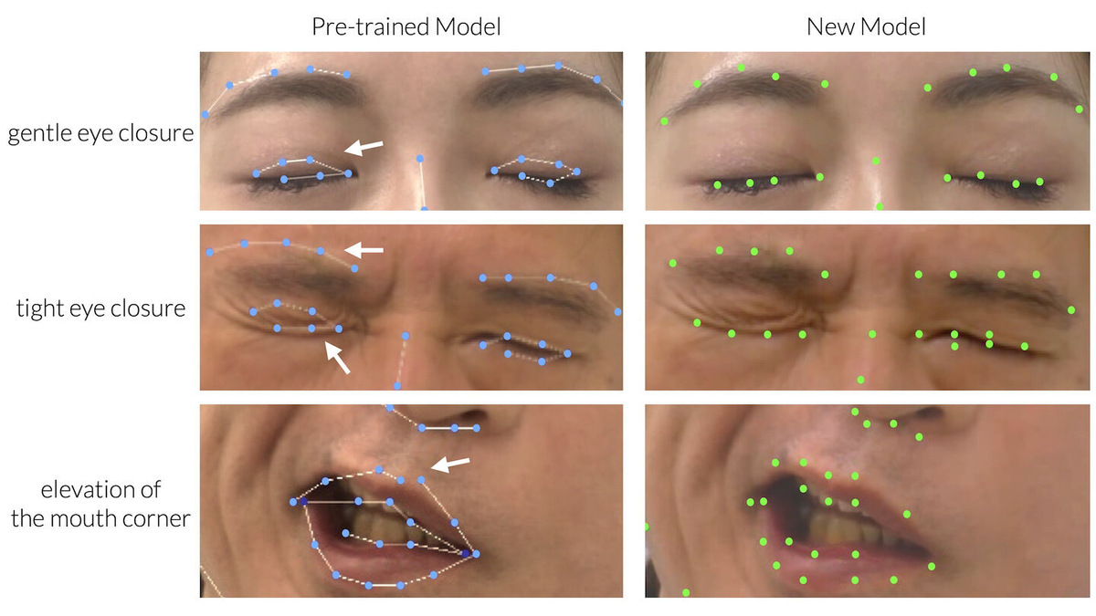    Plastic and Reconstructive Surgery