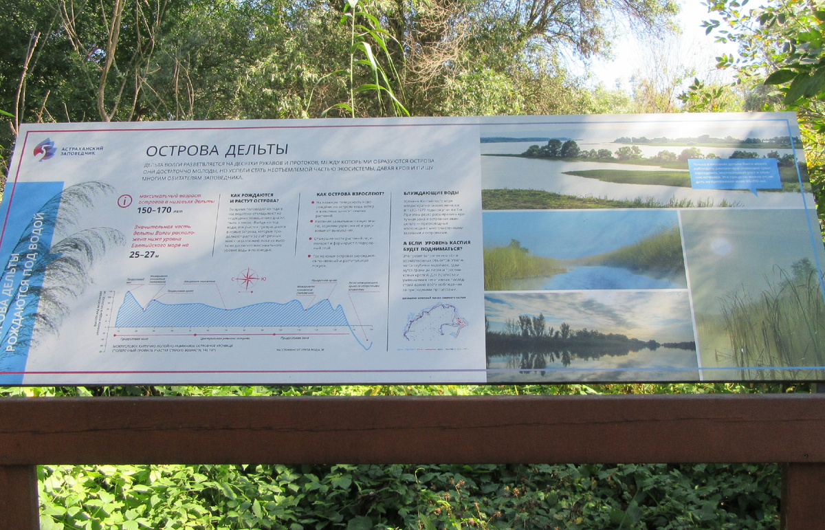 Территория Астраханского биосферного заповедника