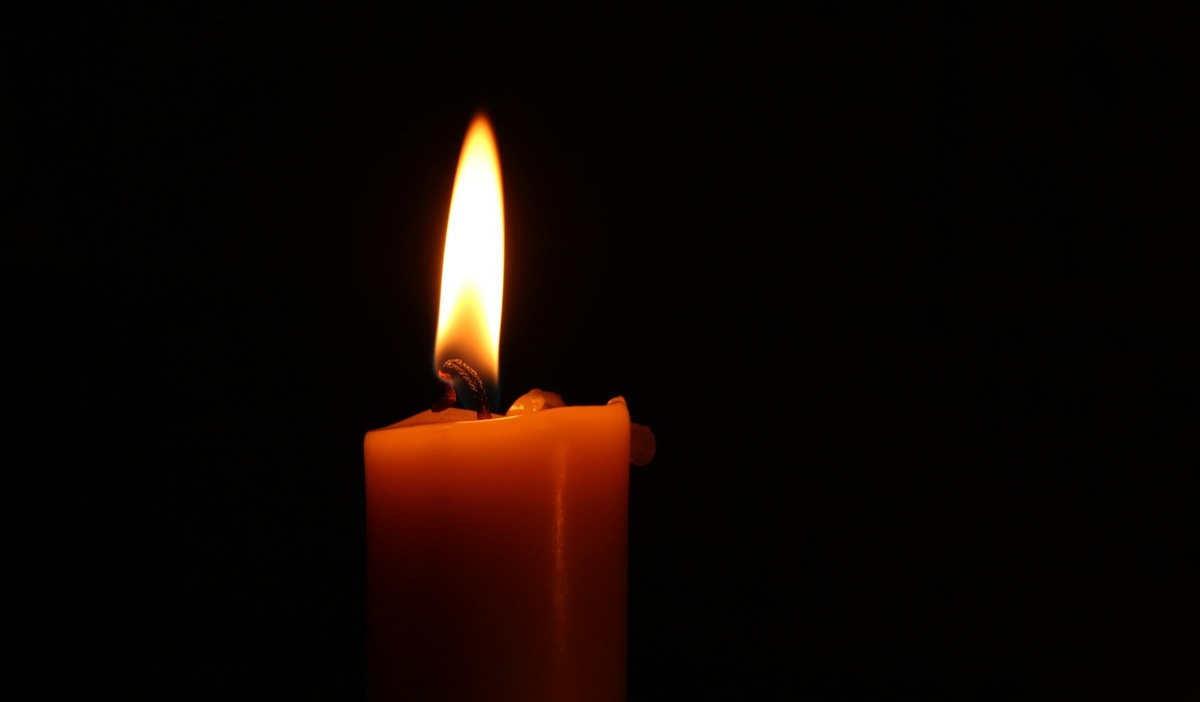    Фото: unsplash.com