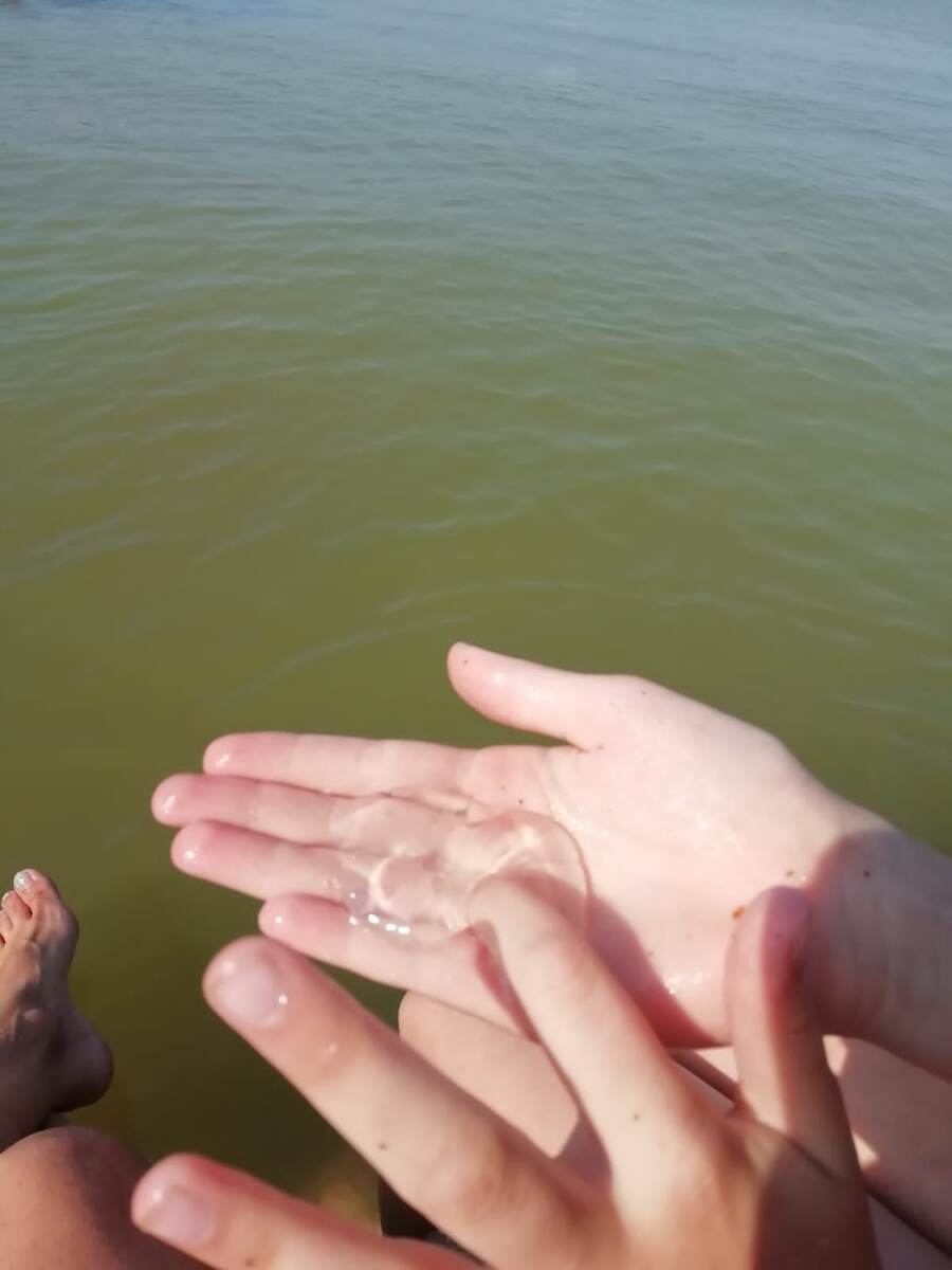 Цвет воды со стороны лимана. Фото автора.