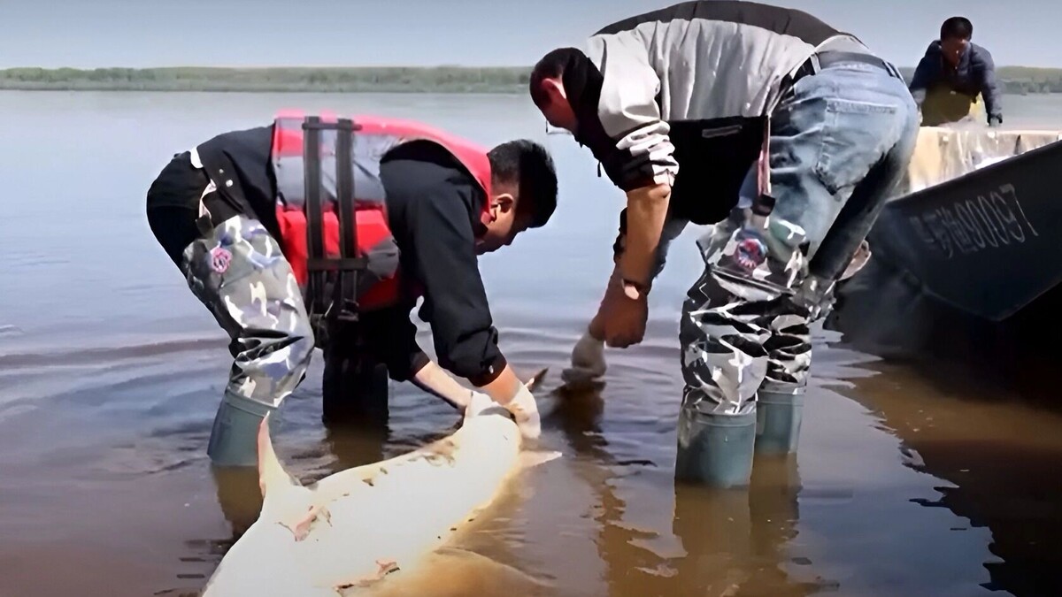     Источник: transsibinfo.com