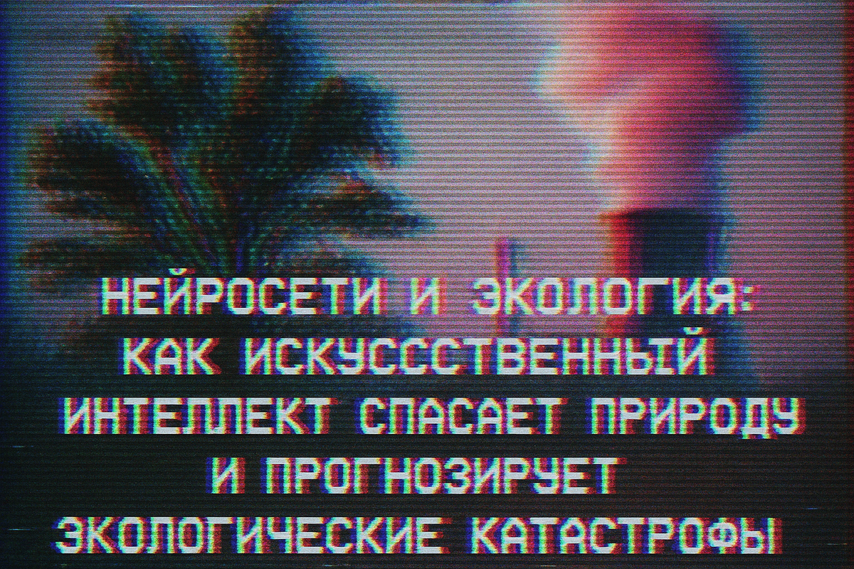    neyroseti-v-ekologii-monitoring-i-prognozirovanie Игорь Царев