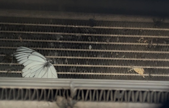 Радиатор после 1500 км