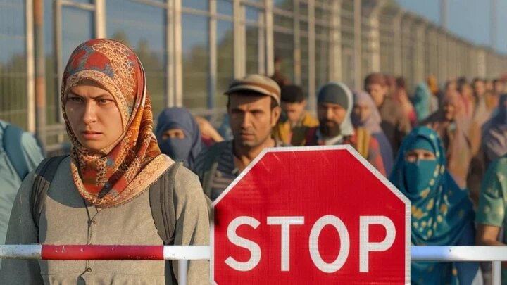    Фото: коллаж Царьграда