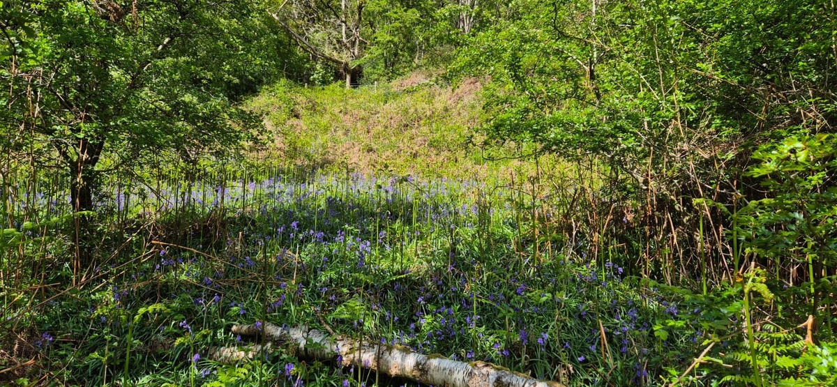 Фото из личного архива