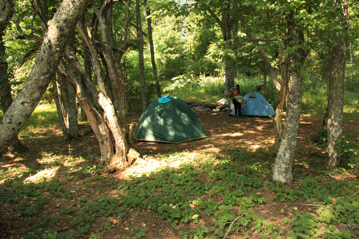 Наш палаточный лагерь в лесу