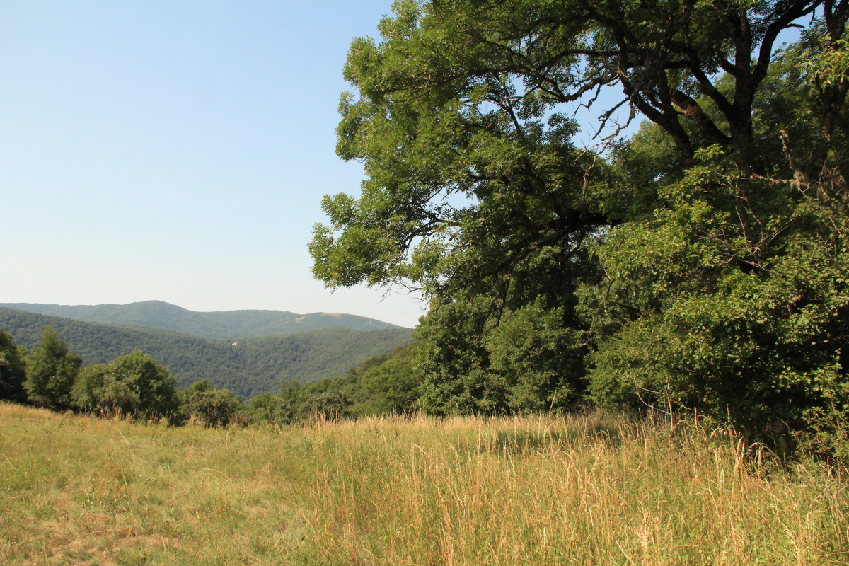 Утренний горный пейзаж в Крыму