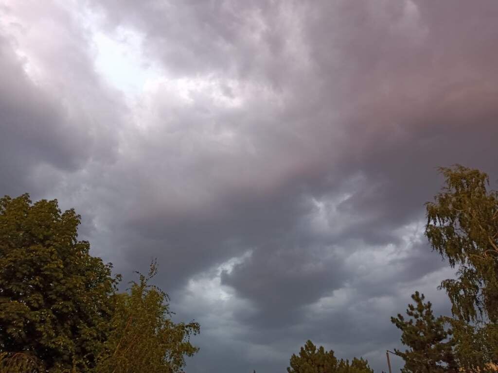   Фото: Г. Ященко. Галина Ященко