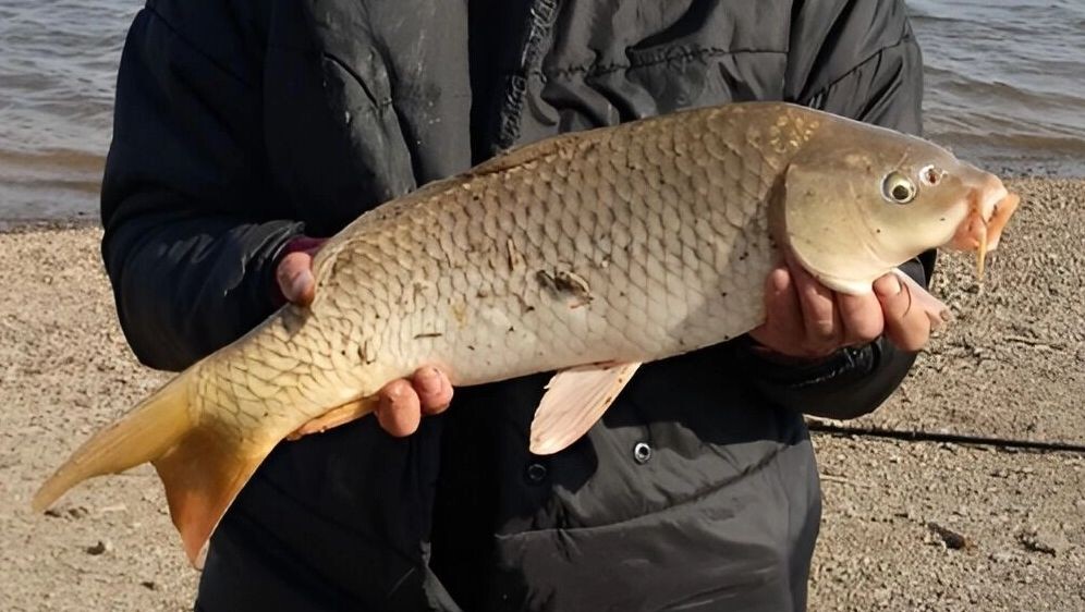     Источник: transsibinfo.com