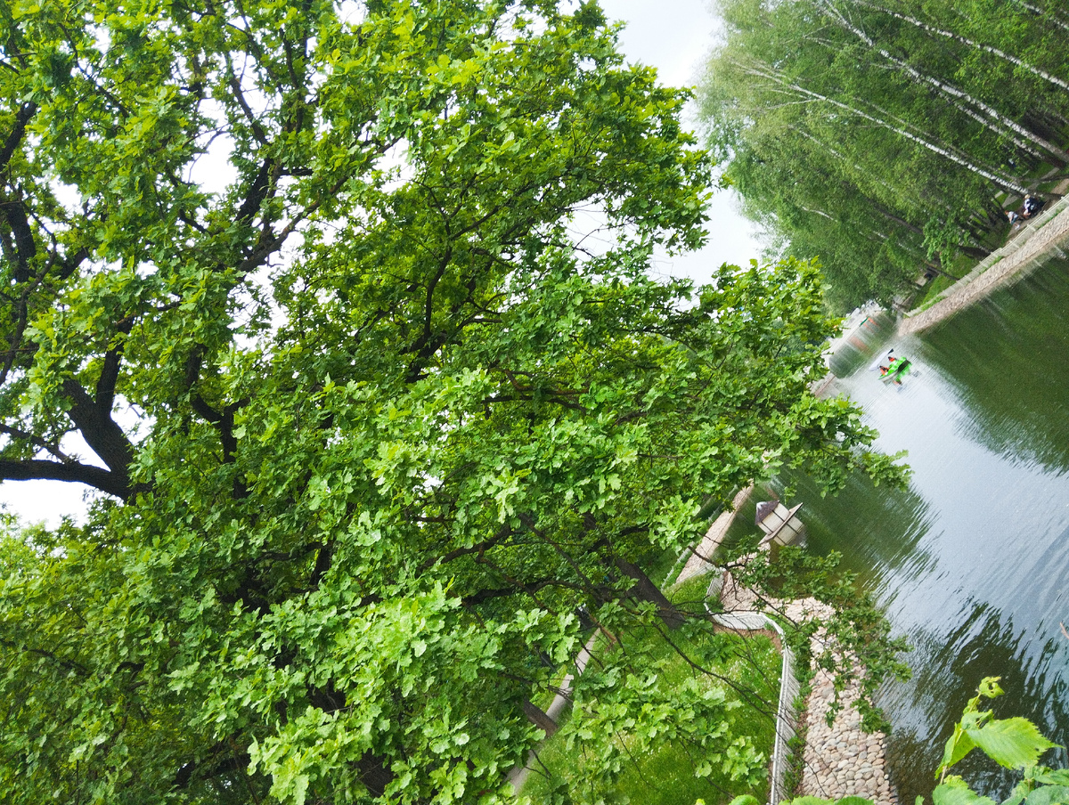 Лианозовский ПКиО. ЗДЕСЬ и далее фото автора и(или) из личного архива автора, если не указано иначе.