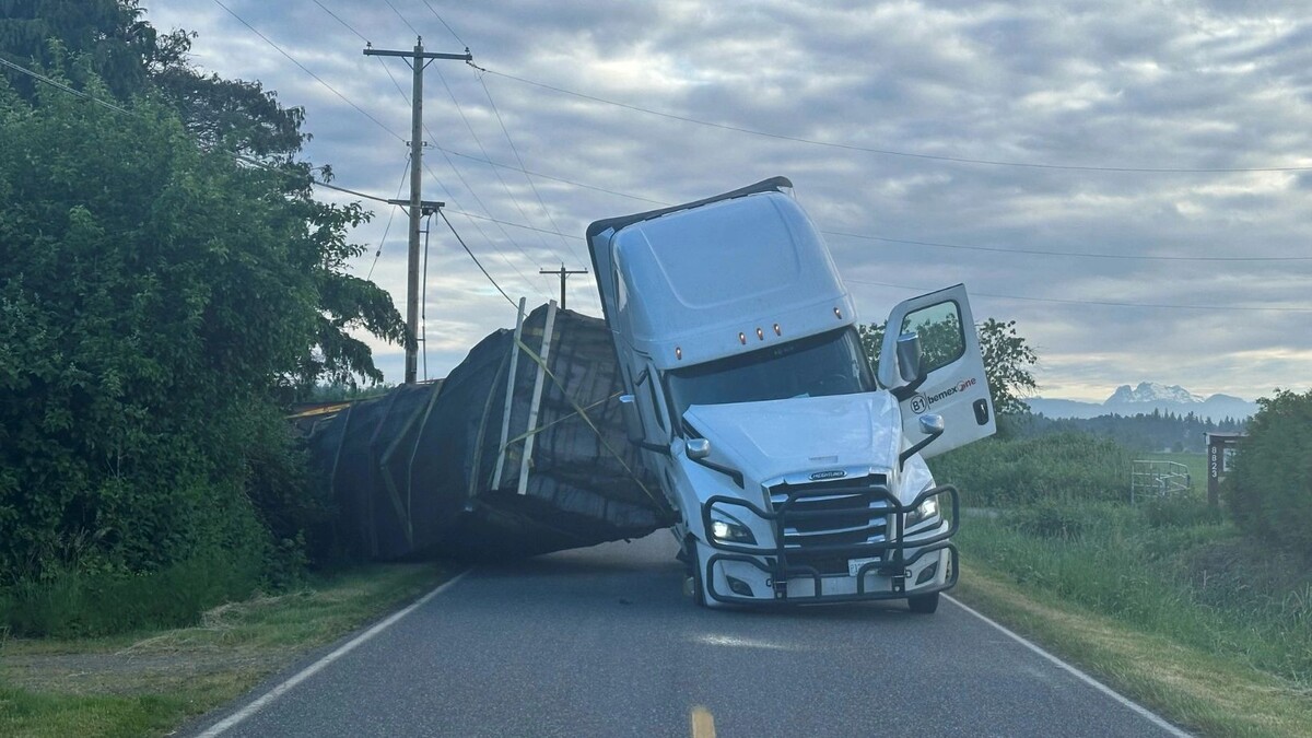    Фото: Whatcom County Sheriff's Office/Facebook*