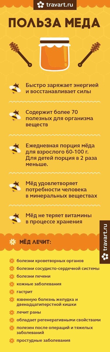 Как известно, мед полезен для здоровья. Его часто рекомендуют при простуде и других заболеваниях. Конечно, в умеренных количествах и если у человека нет аллергии. Но в чем же заключается польза? Рассказываем, почему стоит включить мед в рацион.

Полезные свойства

Мед богат витаминами (B2, B3, B5, B6, B9, C) и микроэлементами (фосфор, калий, кальций, магний, натрий, железо, цинк). Все они необходимы для нормальной работы организма. В нем много антиоксидантов, которые борются с сердечно-сосудистыми заболеваниями, снижают риск развития онкологии. Мед в умеренном количестве снижает уровень «плохого» холестерина. Наконец, он укрепляет иммунную систему и благотворно влияет на желудок.

Мед особенно полезен при температуре и кашле. За счет витамина C он стимулирует иммунитет, ускоряет выздоровление. А благодаря своей структуре обволакивает горло, успокаивает раздраженную слизистую, снимает боль и першение. Для усиления эффекта лучше пить мед с теплым чаем. Но не горячим! В кипятке полезные вещества меда исчезают.

Есть ли у меда противопоказания

Да, как у любого продукта. В первую очередь мед запрещен людям с аллергией на этот продукт. Также он является источником углеводов и быстро поднимает уровень глюкозы, поэтому людям с сахарным диабетом, заболеваниями поджелудочной железы, ожирением нужно быть с ними осторожнее. Не стоит давать его и детям до года. И главное, мед в больших количествах вместо пользы приносит организму вред: боли в животе, снижение давления, пищевое отравление.

Помните: мед нельзя использовать как лекарственное средство. Его можно и нужно употреблять при простуде и гриппе, но полноценное лечение он не заменит. Если долгое время сохраняются простуда, кашель, насморк, другие симптомы, посетите врача.