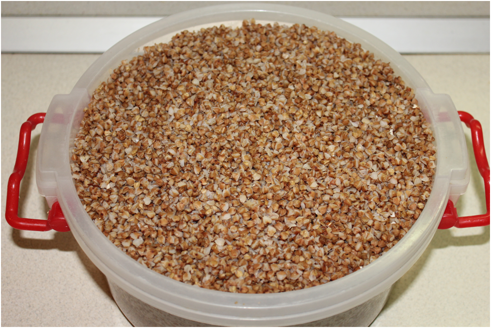 Личное фото автора.