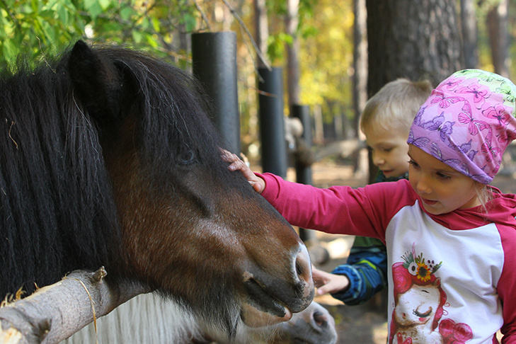    Фото Алины Кухмарь