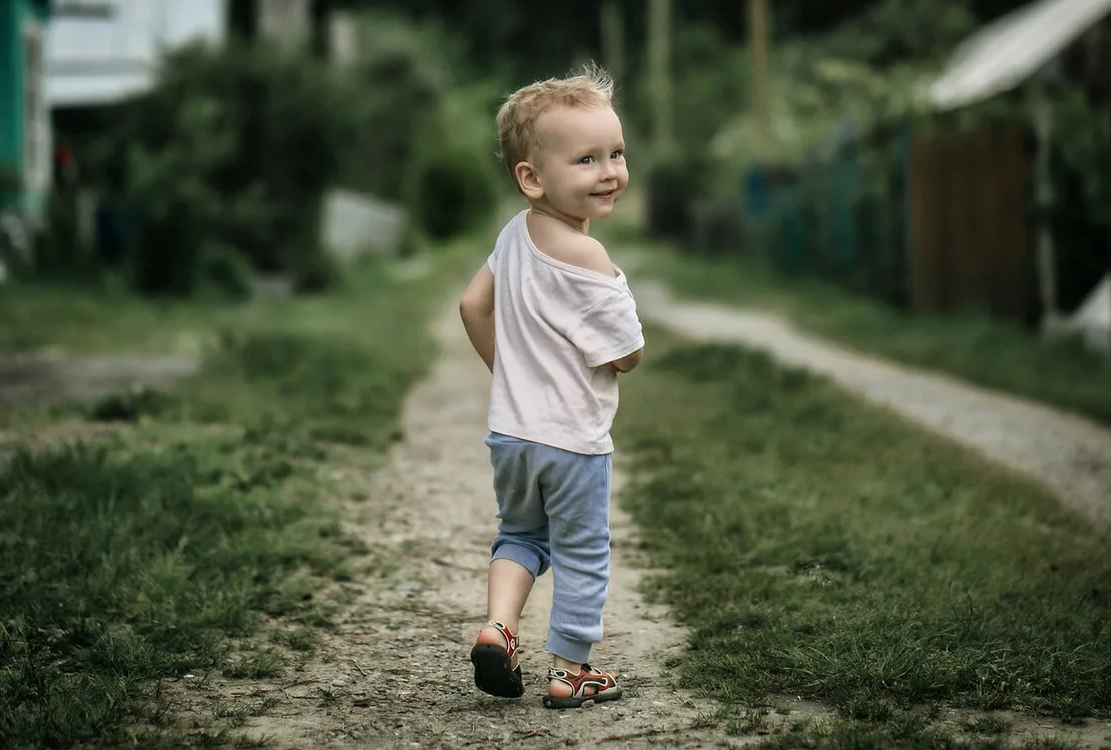 Яндекс картинки