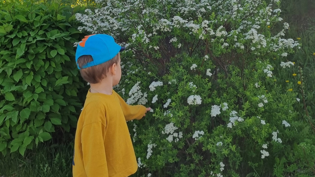    В выходные дни в ХМАО воздух прогреется до +32 градусов