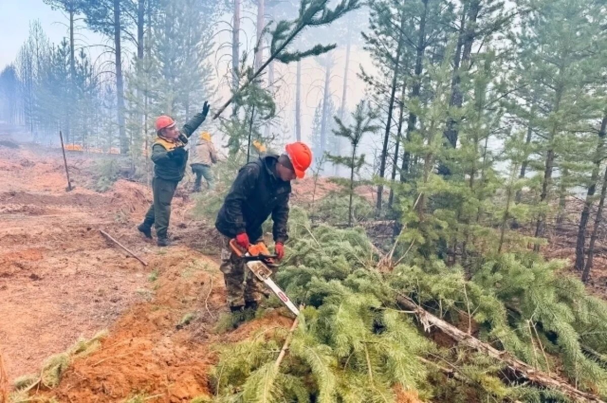    До 90 тысяч гектаров сократилась площадь лесных пожаров в Бурятии