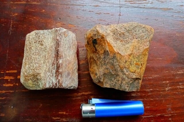    Кости сухопутных динозавров. Слева — фрагмент, найденный С. Колосюком, справа — часть сустава ящера, обнаруженная В. Родионовым. Фото: Из личного архивa/ Виталий Родионов