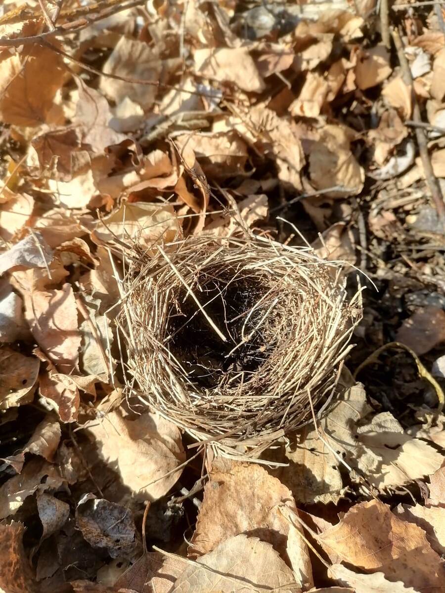 Фото Инны Бойко