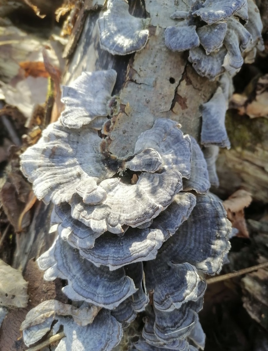 Удивительное-рядом