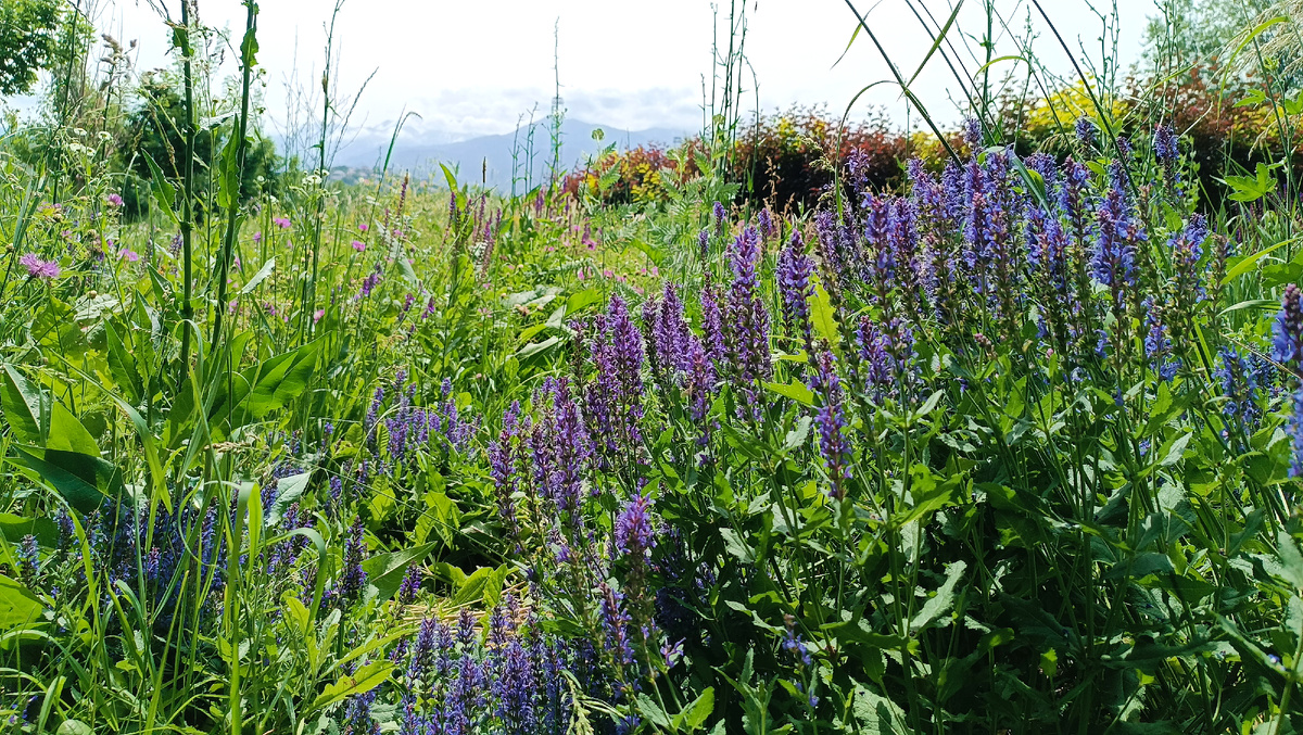 фото автора канала