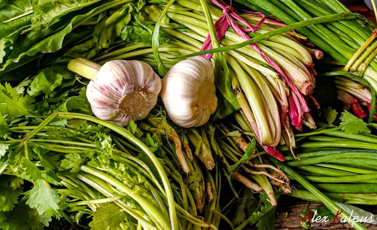 Кинза, молодой чеснок, шпинат, зеленый лук. Грузия. Сегодня мы приготовим рубленную версию испанахи, а не пхали