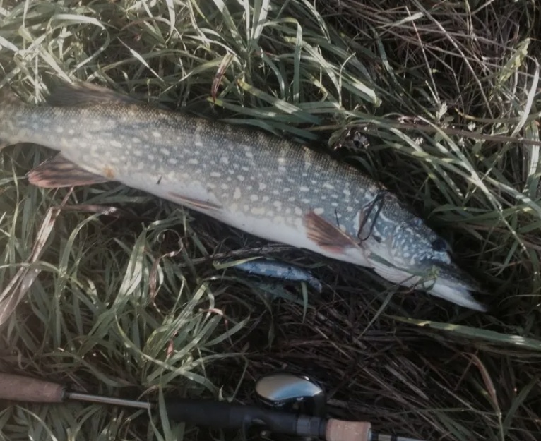 Фото из интернета