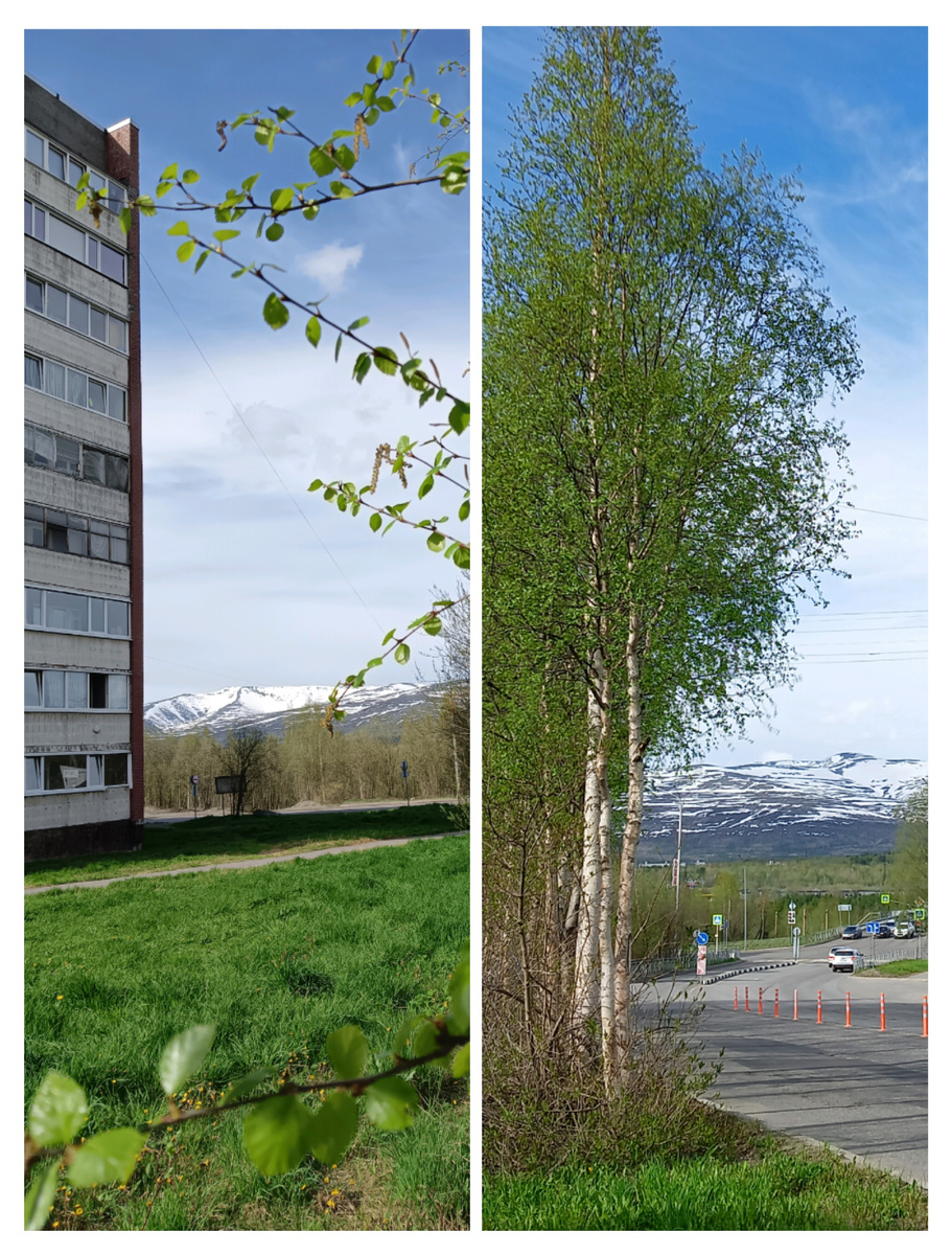 Картина сегодняшнего дня. Видите горы? Снег там есть. Приезжайте кататься на лыжах и сноуборде:)