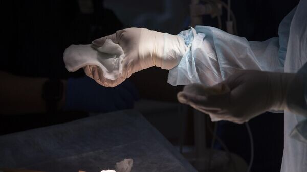    © РИА Новости Крым . Дмитрий Макеев