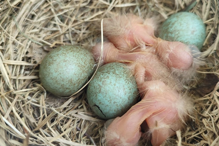    Фото «Сельская правда»