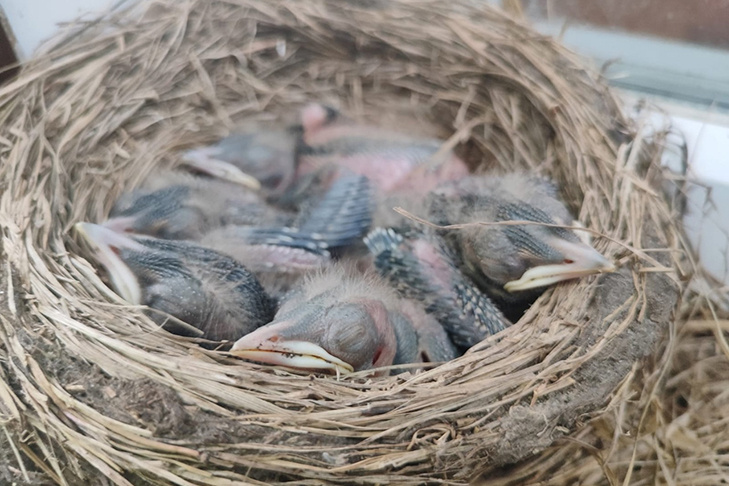 Фото «Сельская правда».📷

