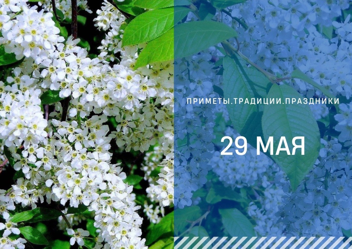   ГТРК "Ставрополье"