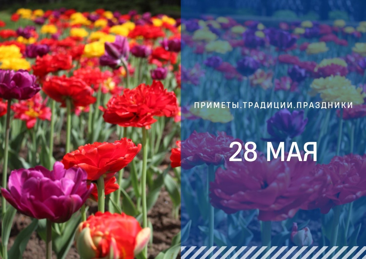   ГТРК "Ставрополье"