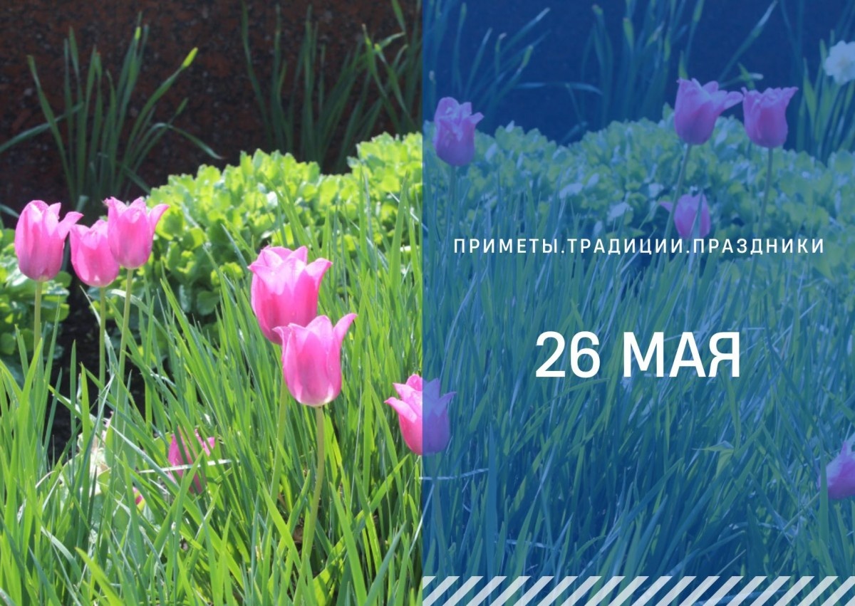   ГТРК "Ставрополье"