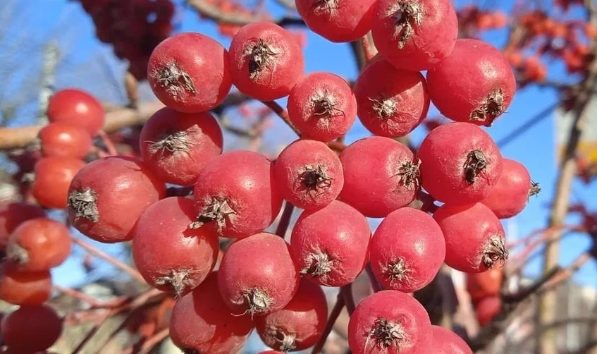   ГТРК "Ставрополье"