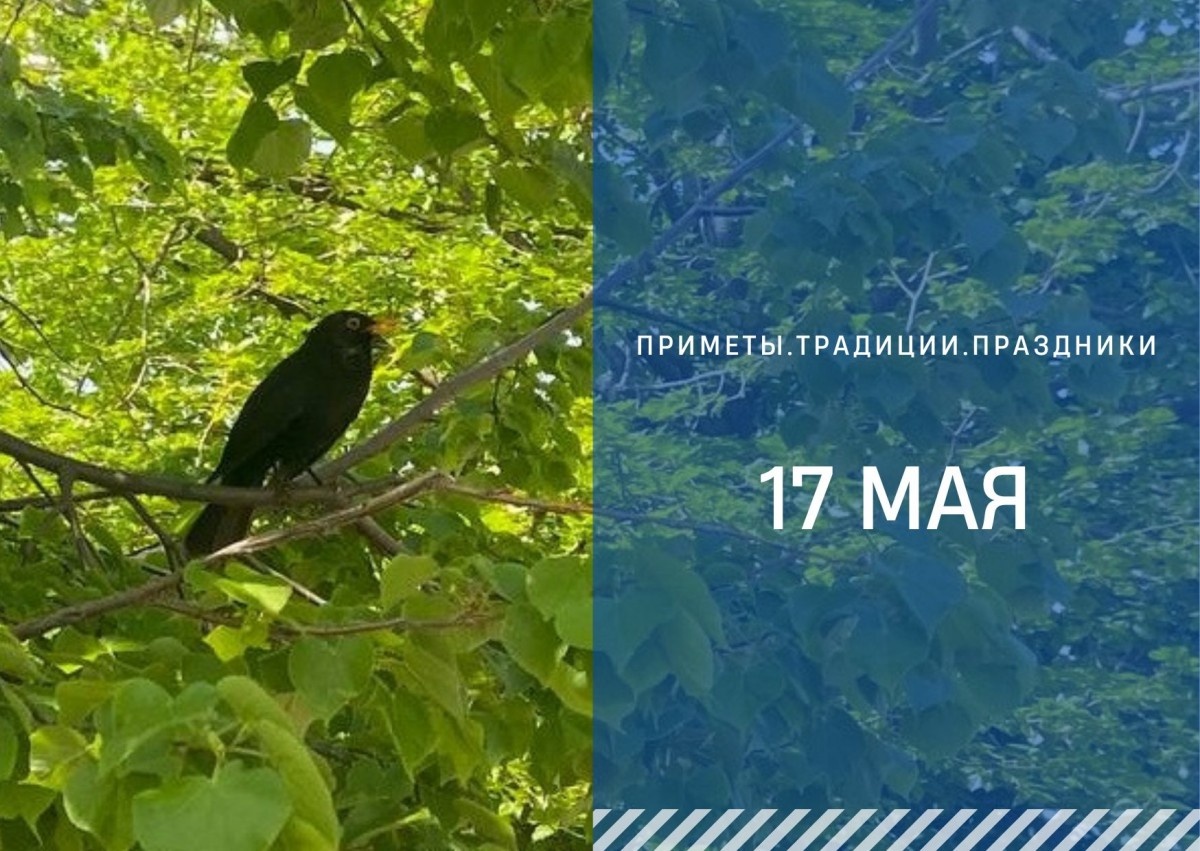   ГТРК "Ставрополье"