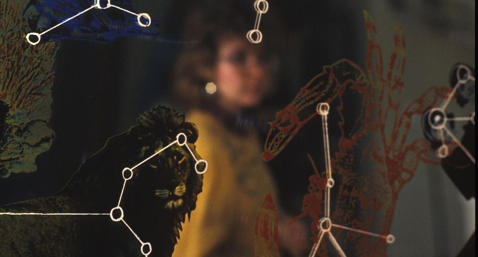    Vadim Nekrasov/Russian Look / www.globallookpress.com