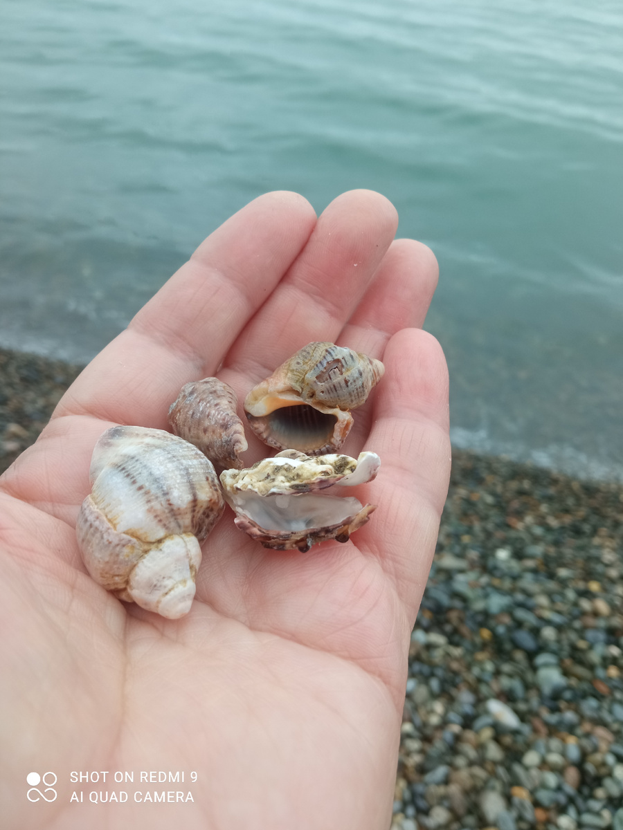 Мой небольшой улов.