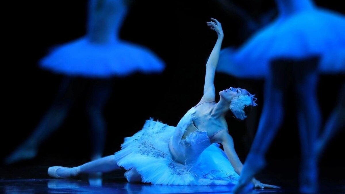     Источник: тг «Ростовский музыкальный театр»