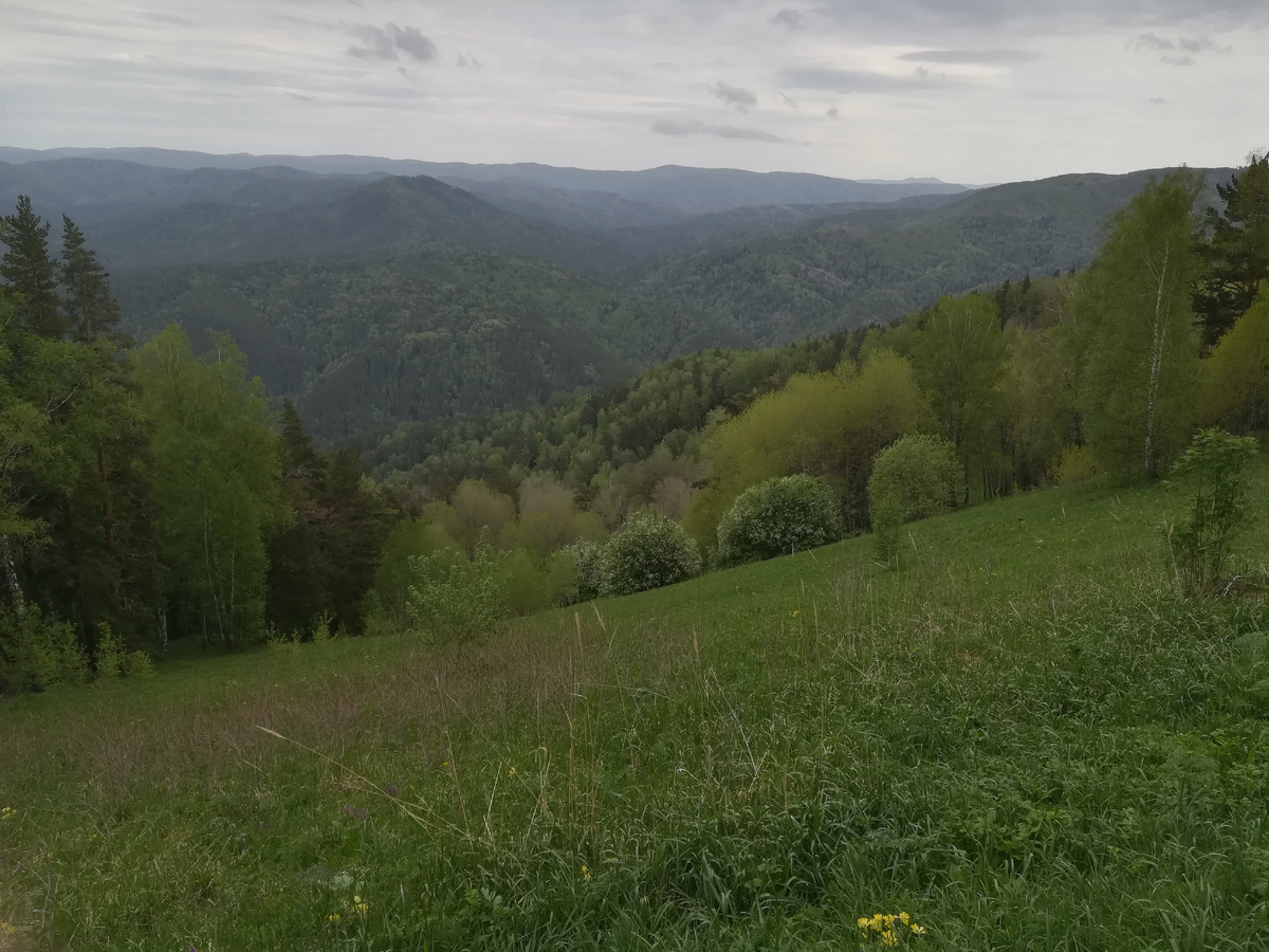 Алтай. Белокуриха. 