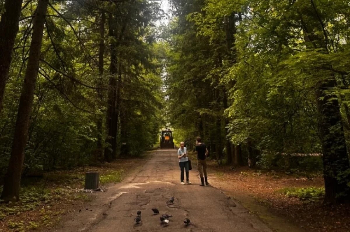    В Хабаровске благоустраивают Дендрарий на деньги из президентской субсидии