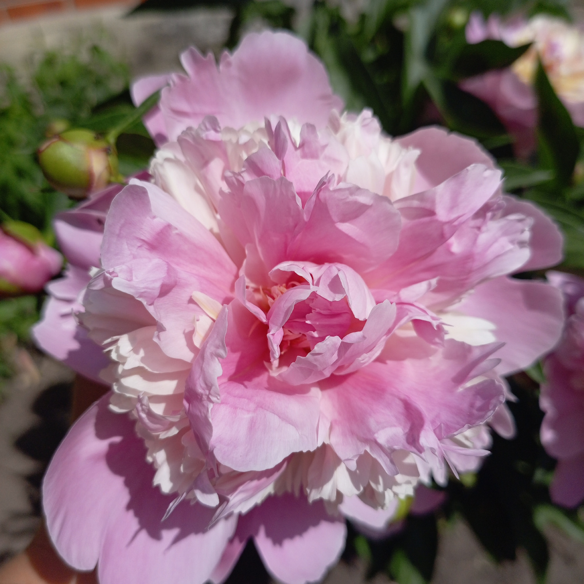 Какая ж красота😍