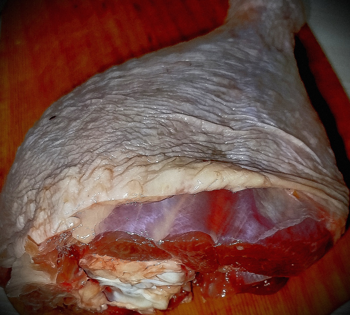 Так выглядит голень индюка