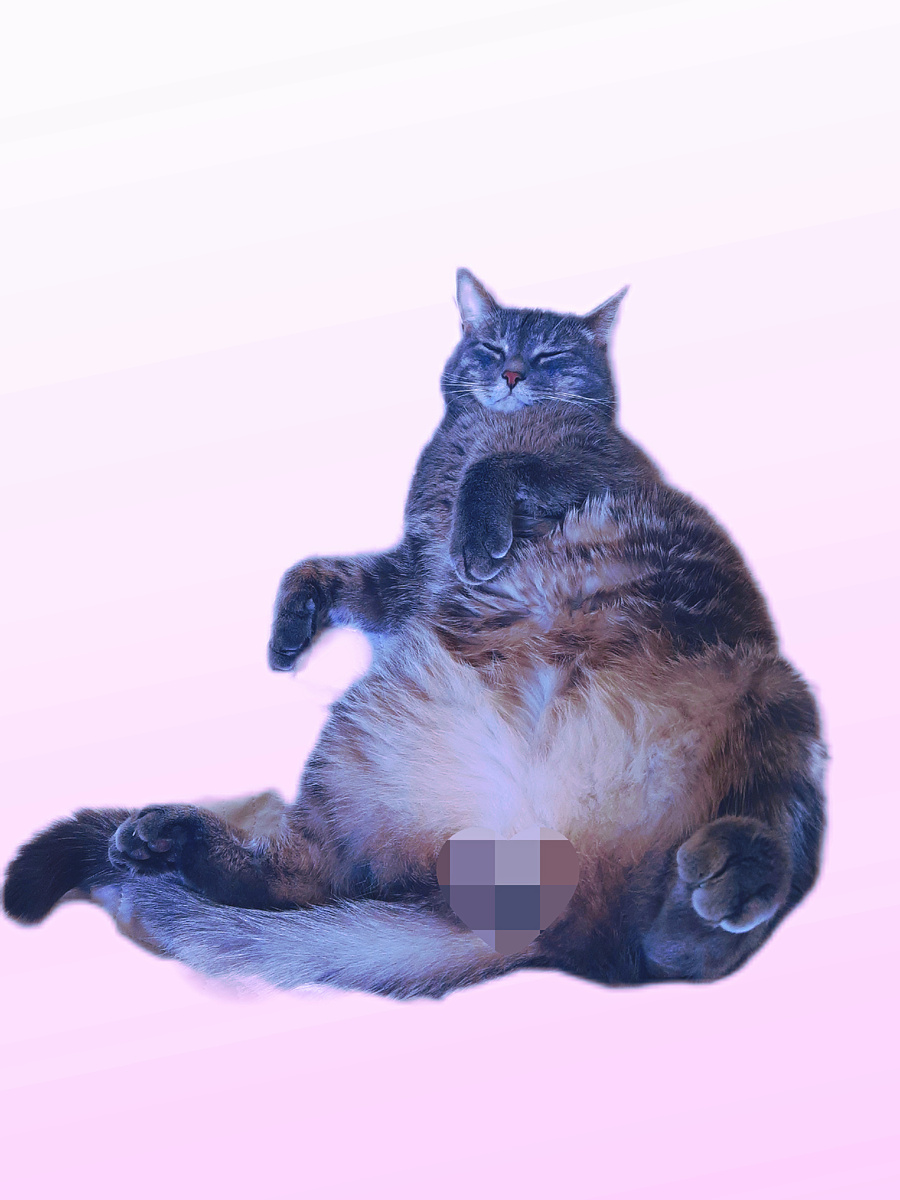 Князь Михалыч в горах.