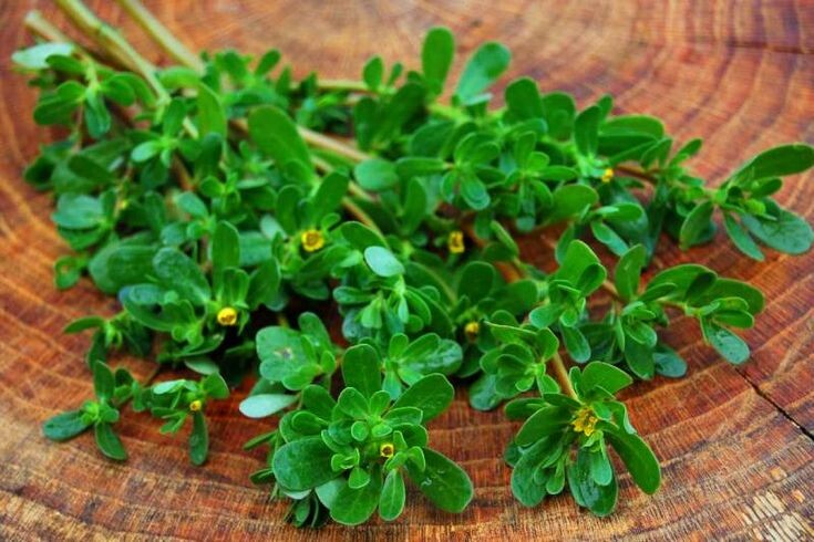 Почему никто не знает этот суперфуд? Портулак - Омега-3 как в рыбе